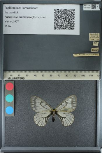 Media type: image;   Entomology 179968
